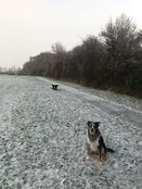 Cold arse.jpeg