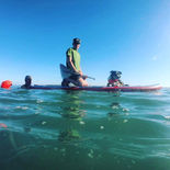 Paddle dog.jpeg