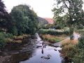 River..jpeg