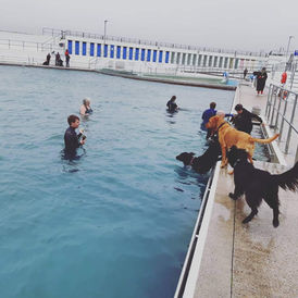 Ice swim.jpeg