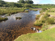Dartmoor stream.jpeg