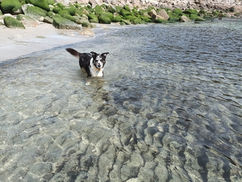 Clear waters.jpeg