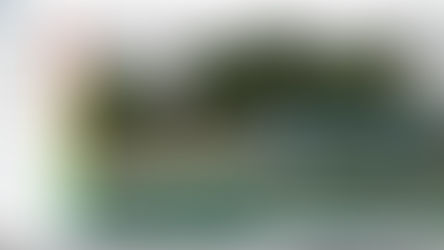 Les Drones commencent à trouver leur place