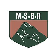 Logo de Mountain School Brasil