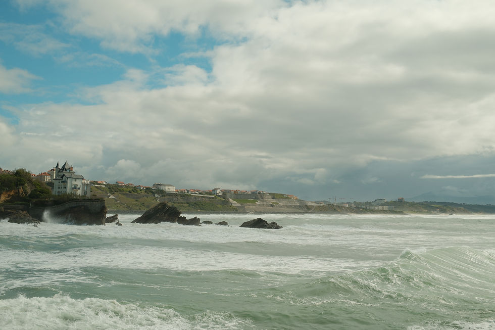 DSCF8315.jpg