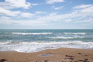 detohama-photo
