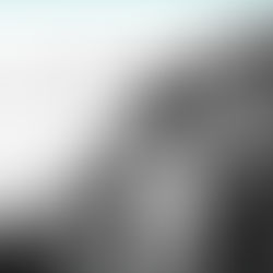 eMotion Therapy's Clinical Director and Youth Collaboratory discuss the Trafficking of Black Girls