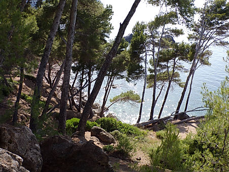 Lluclacari plage majorque