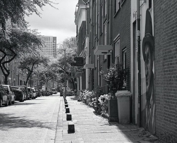 Rotterdam-mamiyarz67proII