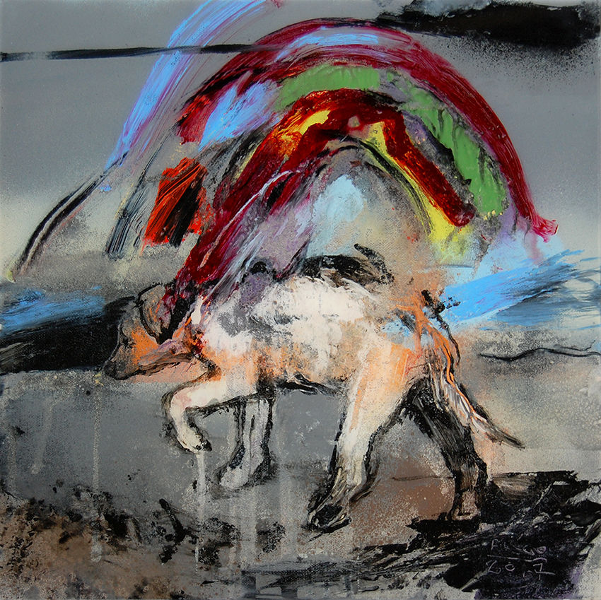 Chien errant -arc-en-ciel 2