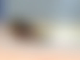 Triops longicaudatus - NM - Cibola