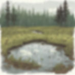 vernal pool