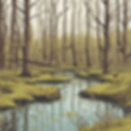 vernal pool