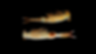 Designer (60).png