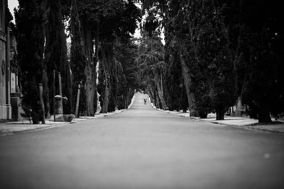 Fotografía: Rafa Espada