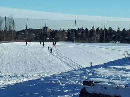 November 14, 2022 update - Sunday evening grooming done, teaching grid is in!