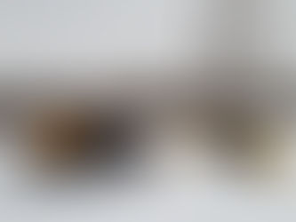 December 18 update: success with the new SNO Roller!