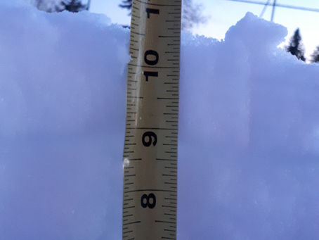 December 23, 10pm update