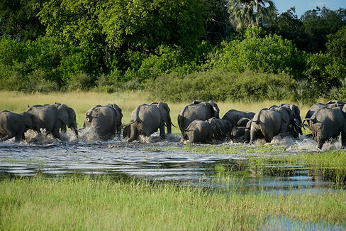 Tarangire National Park safari landscape with elephants at Tarangire river