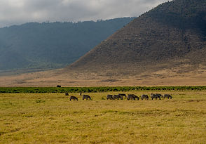 Panoramic view of Ngorongoro Crater landscape on a safari from Zanzibar