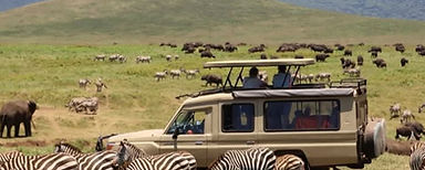 Serengeti safari from Arusha