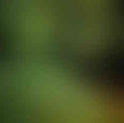 Lush rainforest vegetation surrounding Napuru Waterfalls on Mount Meru slopes