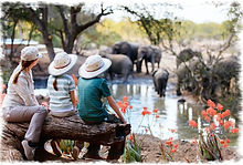 Family safaris From Zanzibar