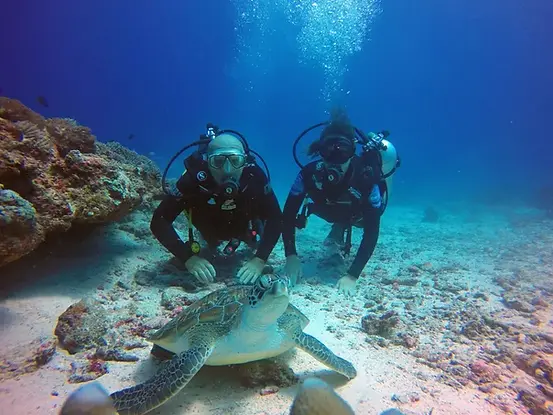 Zanzibar scuba diving and fly-in safari experience starting and ending in Zanzibar