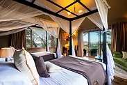 lion's paw luxury bedroom