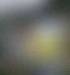 Elderly traveler on private safari jeep in Tanzania