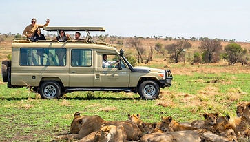 Group safari from Zanzibar