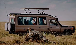 4 Day luxury Safari from Zanzibar