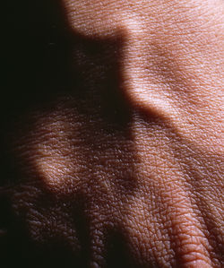 The Landscape Met In My Body-05, 2000