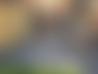 A brand new lawn ... and patio ... and gate.