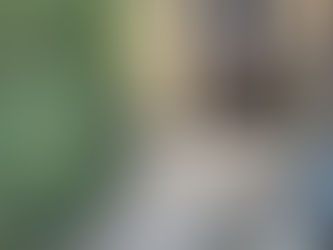 Working from home? A garden Office?