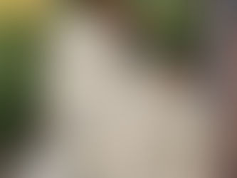 Crazy Paving back on-trend!