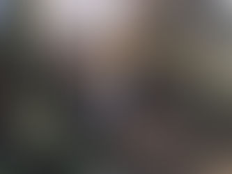 Garden-Room completed.