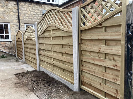 We just need our own space ....