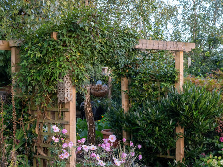 A pergola camouflaged.