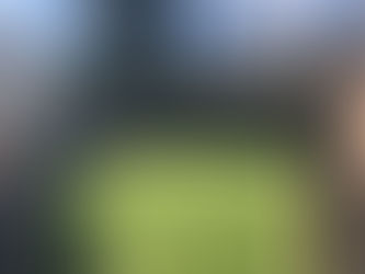 An overgrown space, cleared then reimagined!