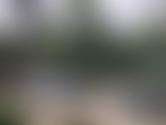 An old Yorkshire Stone patio, brought back to life.