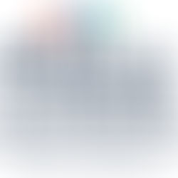 Projet Domnis pour la rue de Montfort