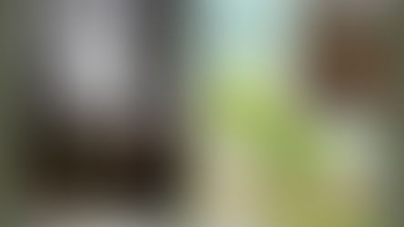 Une forêt malmenée au nord-est de Pontchartrain