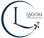 LAGOM GSI P540 C (1)1024_1_edited_edited