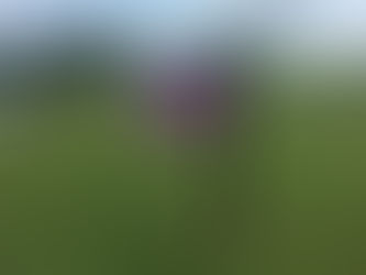 １番、１０番ティグランド周り、リニューアル