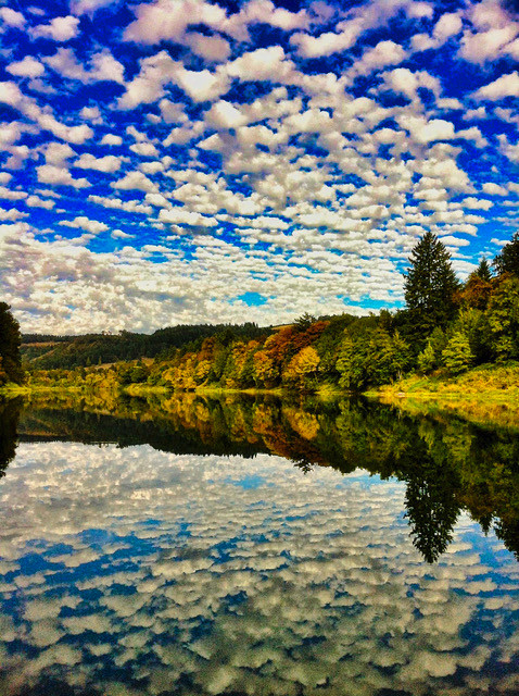 McKenzie river
