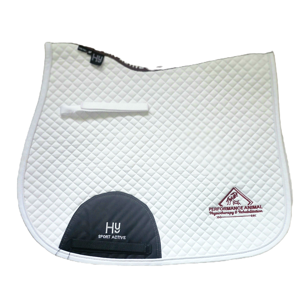 Thumbnail: Branded Saddlepad