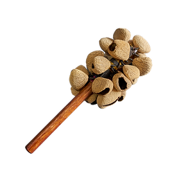 Bastão de Sementes Graves.png