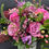 Miniature : Bouquet Pink