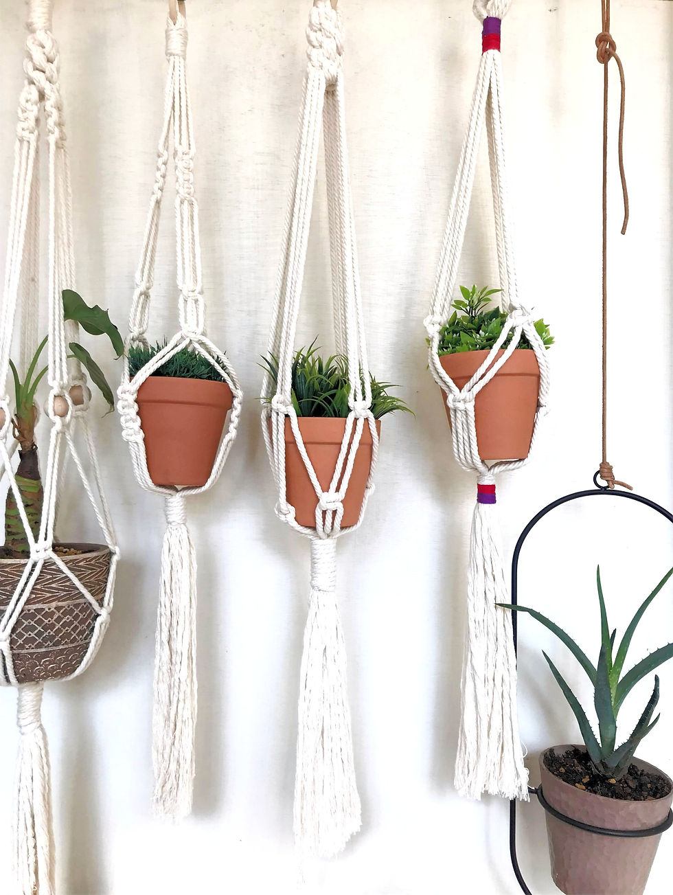 サムネイル： プラントハンガーPlant Hanger